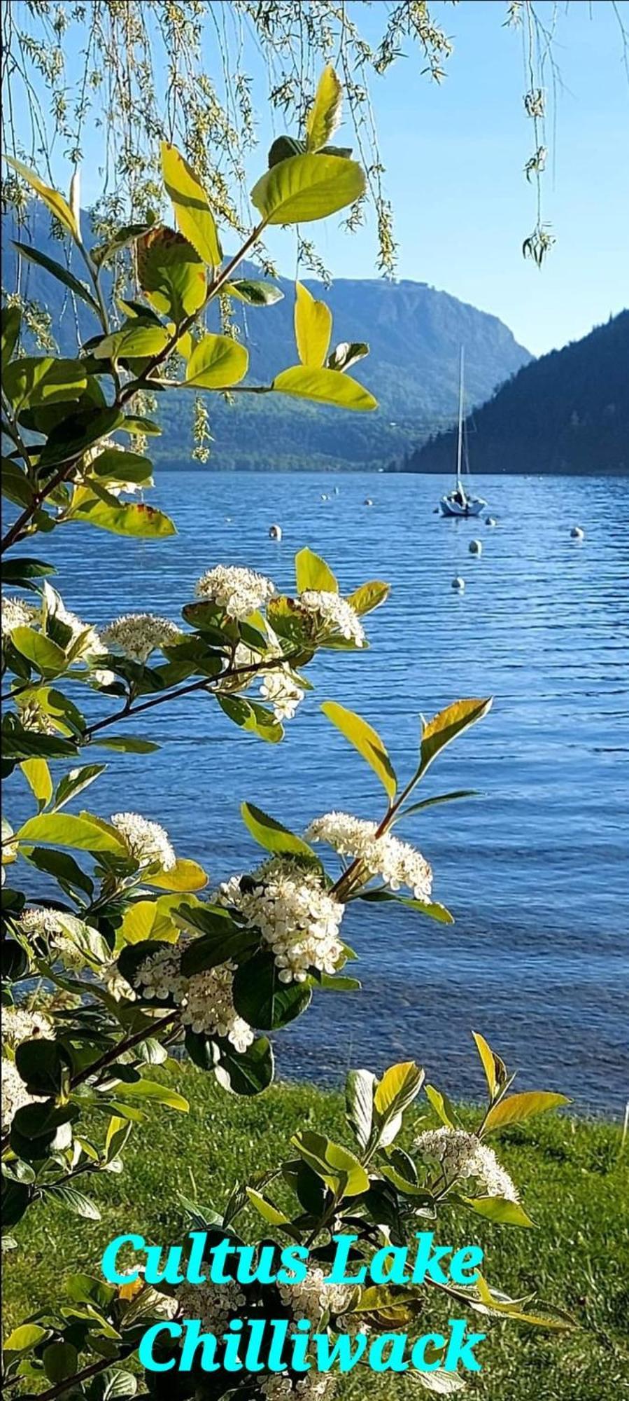 Private 2 Bedrooms Suite Near Hwy 1, Cultus Lake, Heritage Park, Fishing, Coliseum Chilliwack Oda fotoğraf